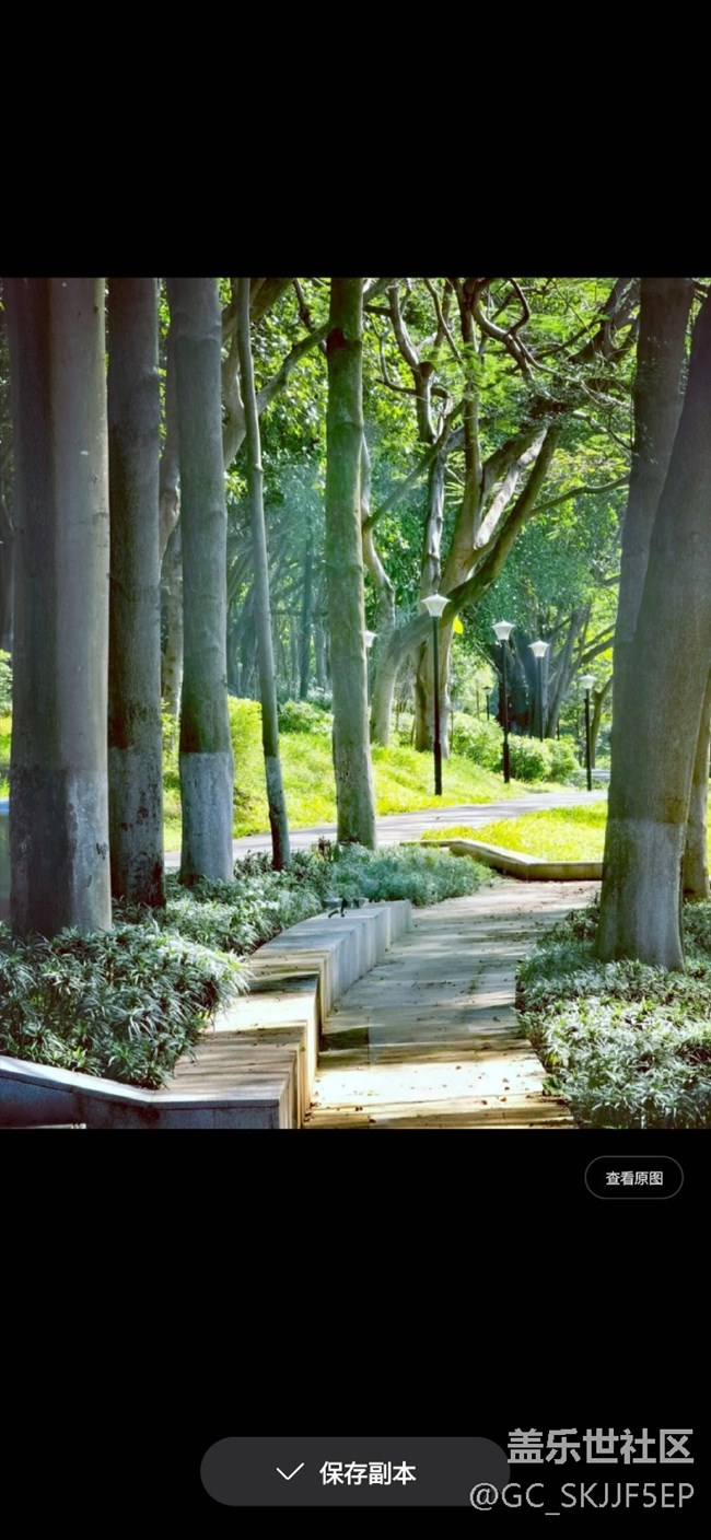 【AI玩生成式編輯】林間小徑的 “美顏術(shù)”