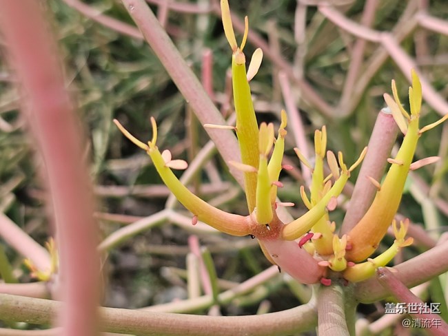 【約定3月的旅行】去徒步旅行