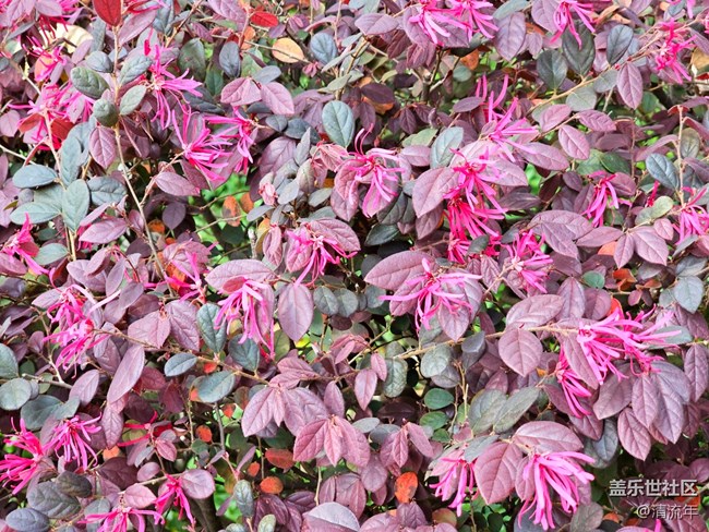 【醒春】春天來了