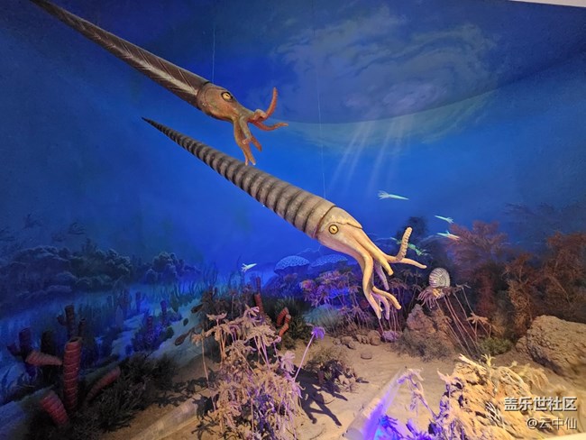 【春日序曲】海洋生物