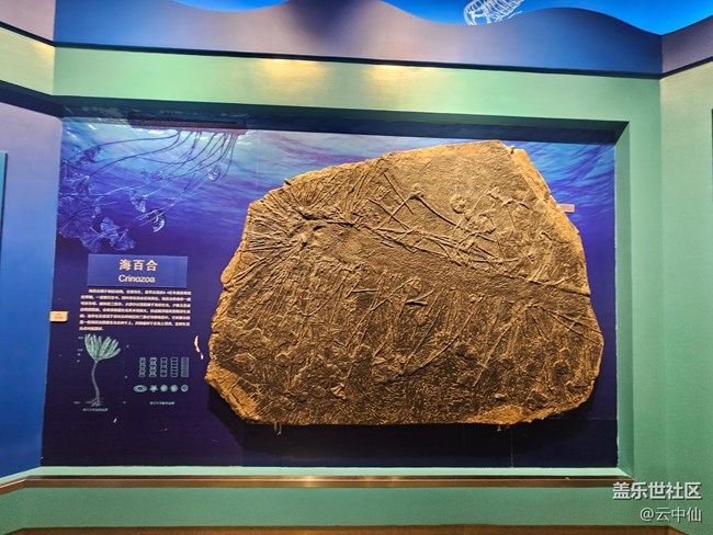 【春日序曲】海洋生物