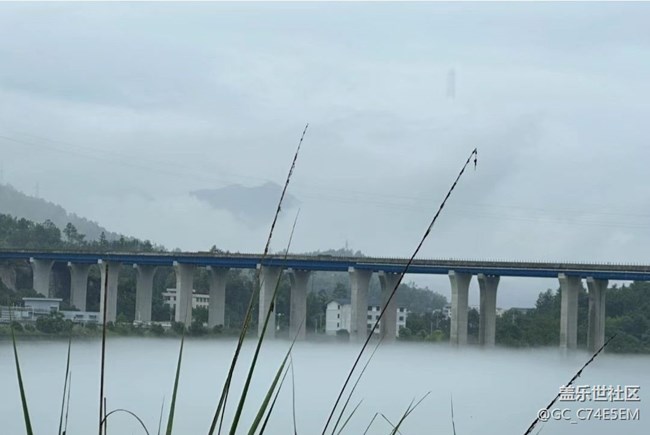 【春日踏青季】春雨