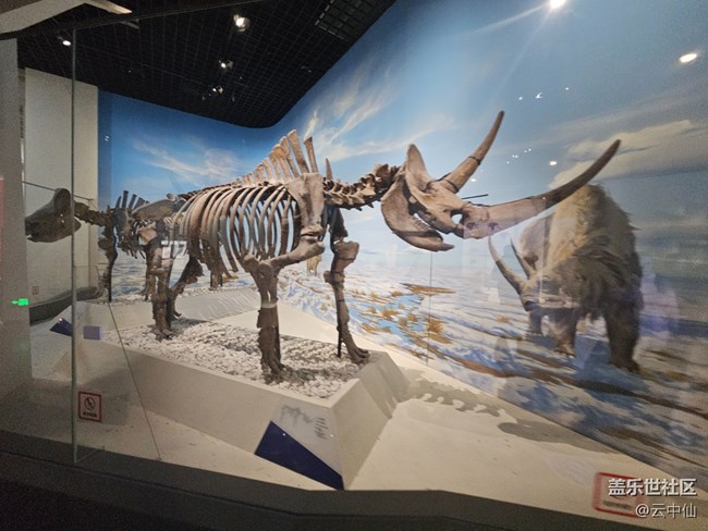 【春日序曲】遠古巨獸