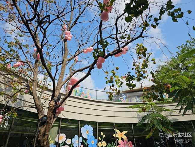 【咬春食補(bǔ)圖鑒】公園漫步