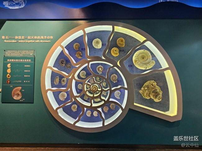 【春日序曲】海洋生物