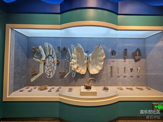 【春日序曲】海洋生物