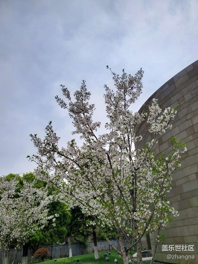 【閔行文化公園線下攝影活動】+活動回顧貼