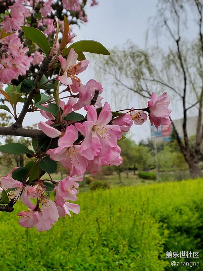 【閔行文化公園線下攝影活動】+活動回顧貼