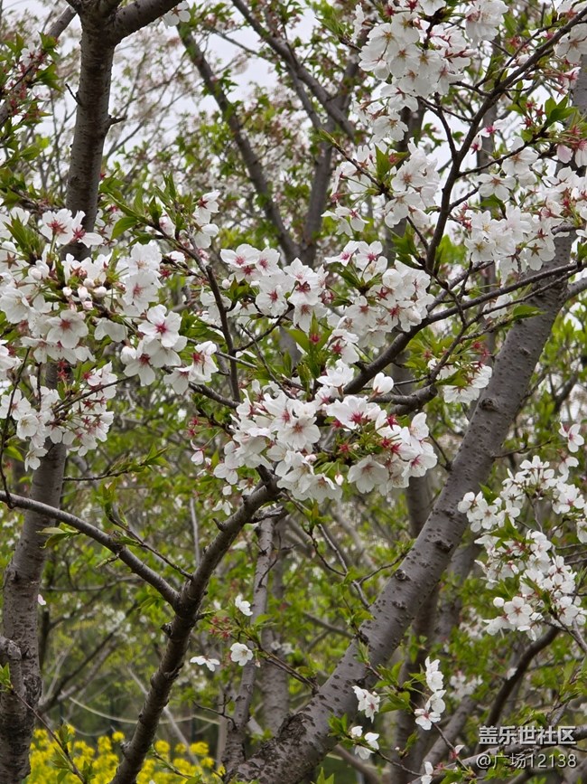 【閔行文化公園線下攝影活動(dòng)】+閔行文化公園線下攝影活動(dòng)回顧