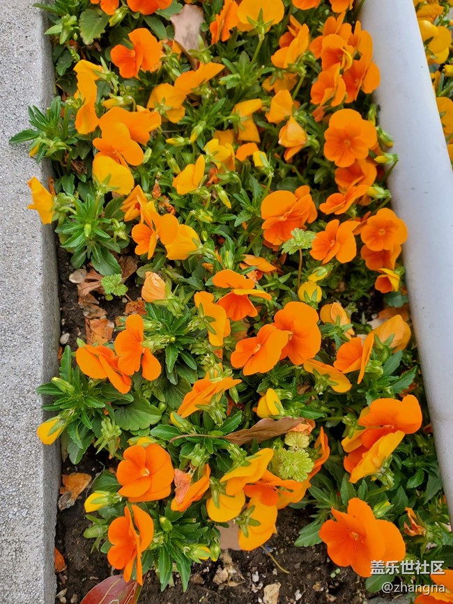 【閔行文化公園線下攝影活動】+活動回顧貼