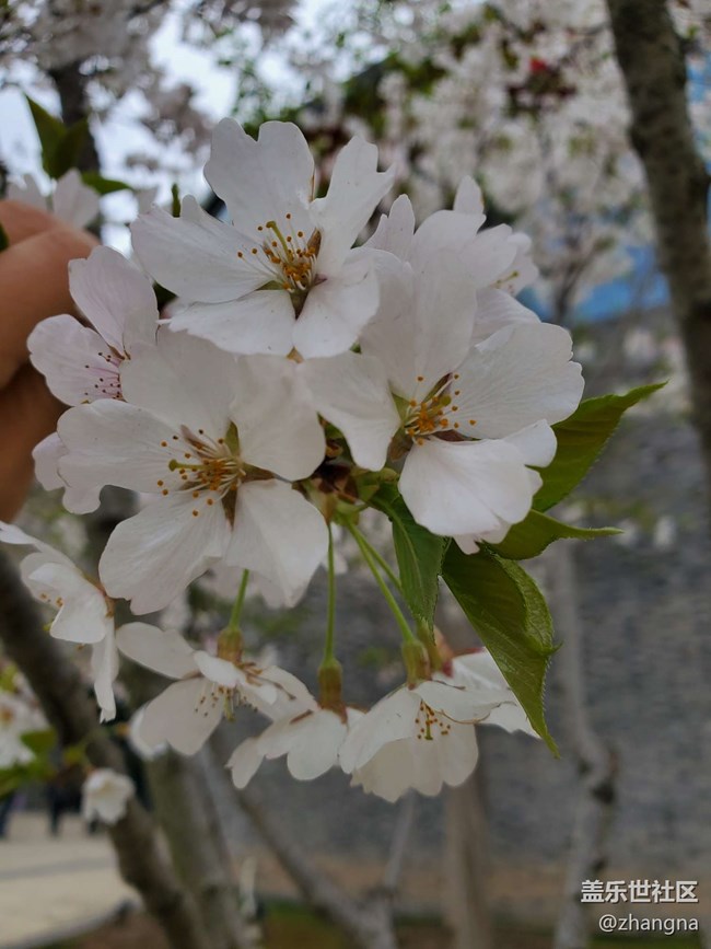 【閔行文化公園線下攝影活動】+活動回顧貼