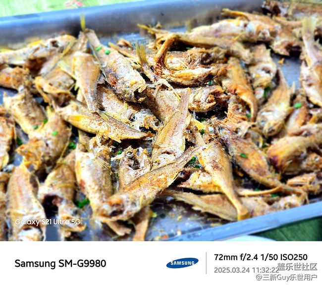 【知味春趣】美味正當(dāng)鮮