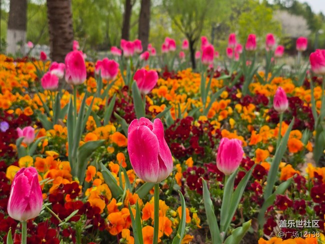 【閔行文化公園線下攝影活動(dòng)】+閔行文化公園線下攝影活動(dòng)回顧