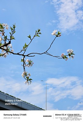 【生機(jī)盎然的世界】春日小確幸