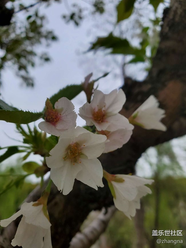 【閔行文化公園線下攝影活動】+活動回顧貼