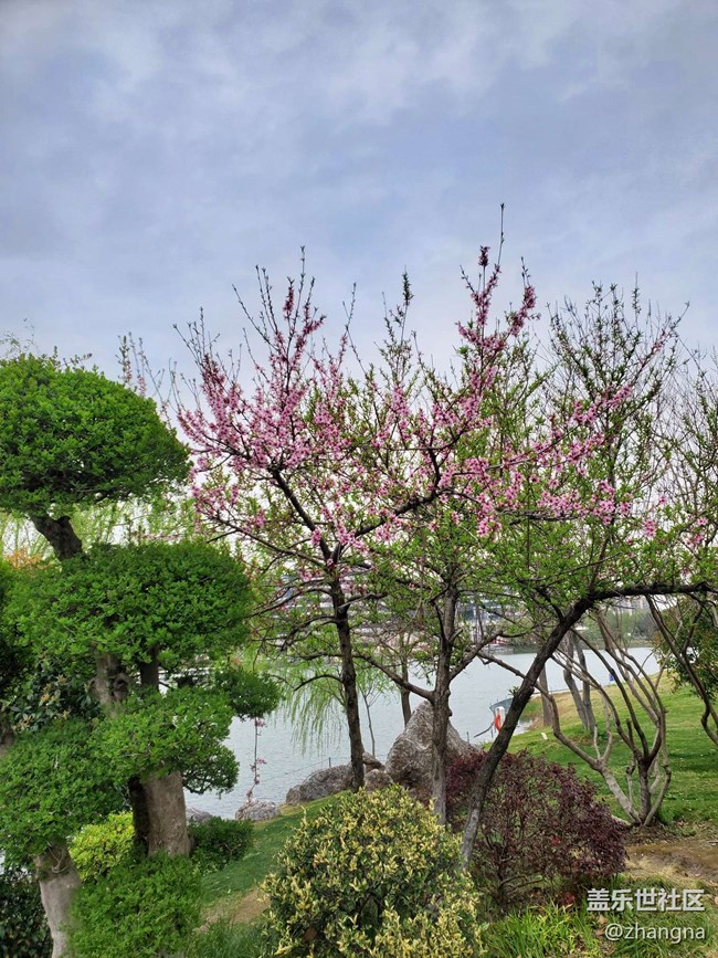 【閔行文化公園線下攝影活動】+活動回顧貼