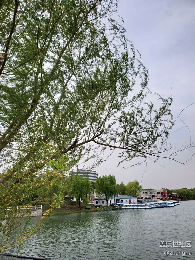 【閔行文化公園線下攝影活動】+活動回顧貼