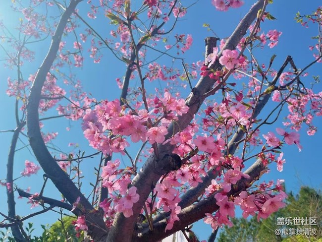 【春日踏青季】去有風(fēng)的地方