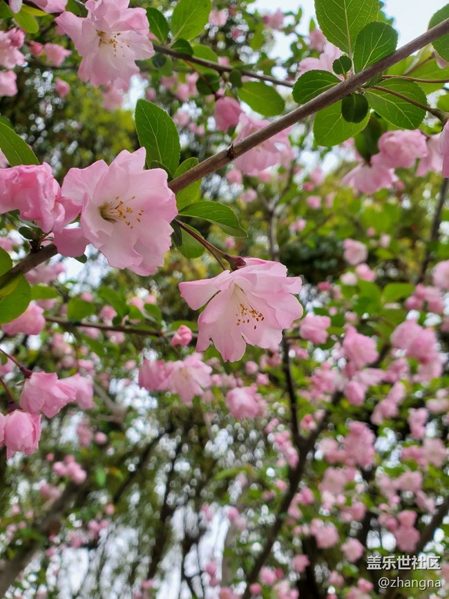 【閔行文化公園線下攝影活動】+活動回顧貼