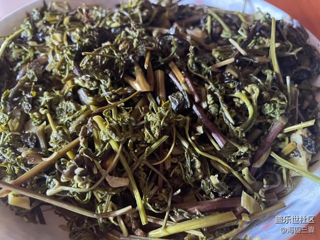 【知味春趣】周末回家