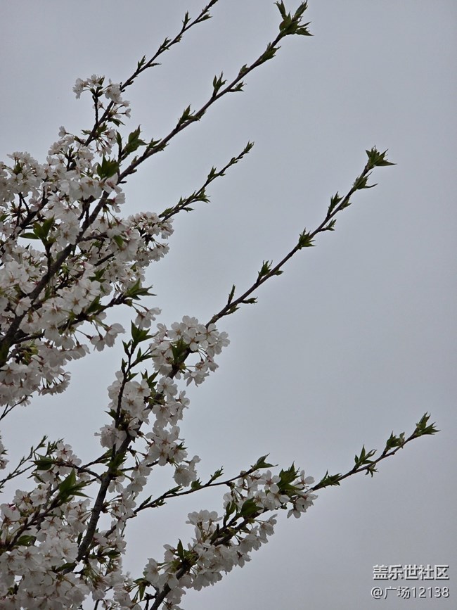 【閔行文化公園線下攝影活動(dòng)】+閔行文化公園線下攝影活動(dòng)回顧