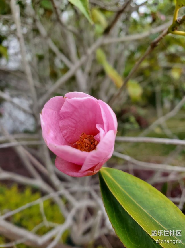 【閔行文化公園線下攝影活動】+活動回顧貼