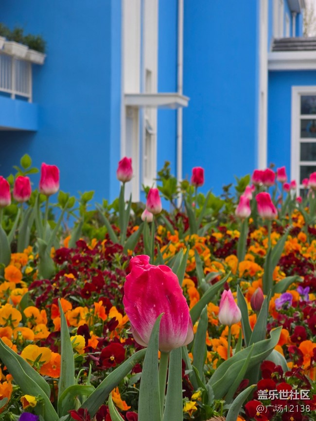 【閔行文化公園線下攝影活動(dòng)】+閔行文化公園線下攝影活動(dòng)回顧