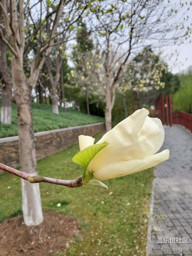 【閔行文化公園線下攝影活動】+活動回顧貼