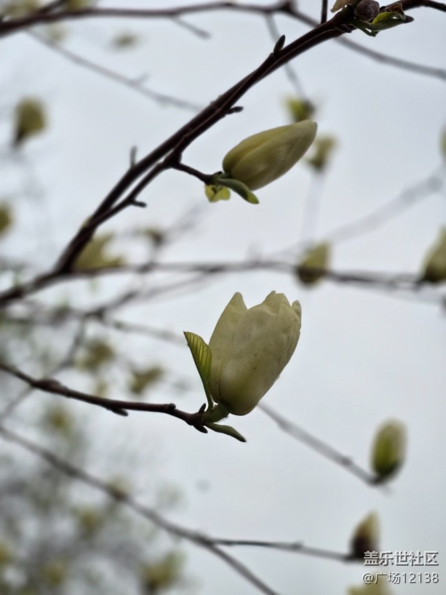 【閔行文化公園線下攝影活動(dòng)】+閔行文化公園線下攝影活動(dòng)回顧