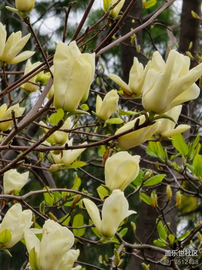 【閔行文化公園線下攝影活動(dòng)】+閔行文化公園線下攝影活動(dòng)回顧