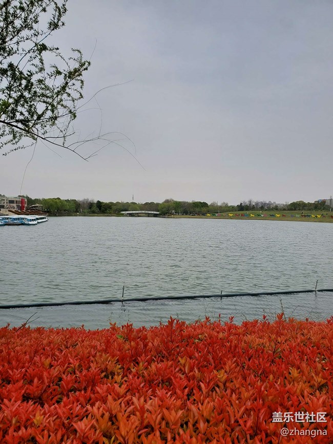 【閔行文化公園線下攝影活動】+活動回顧貼