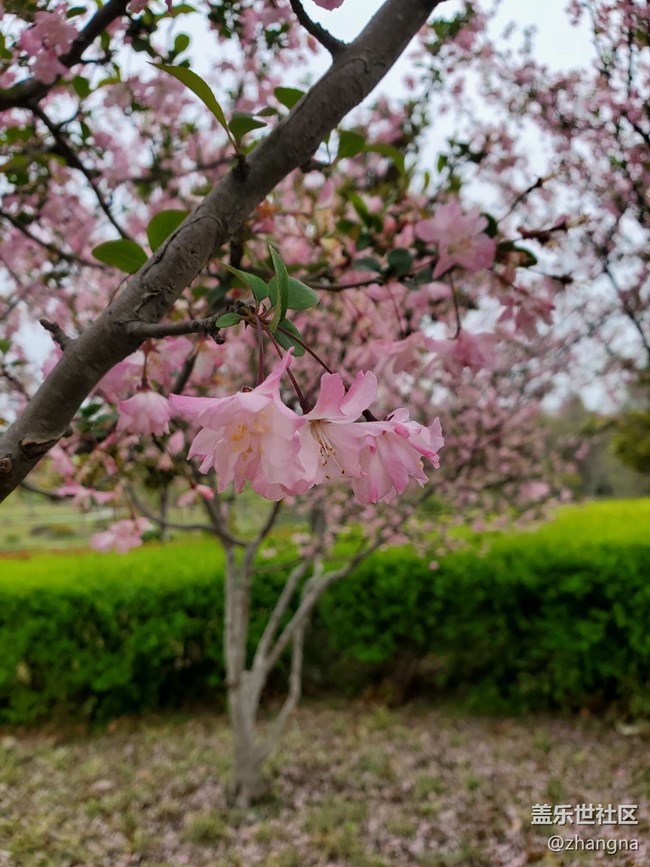 【閔行文化公園線下攝影活動】+活動回顧貼