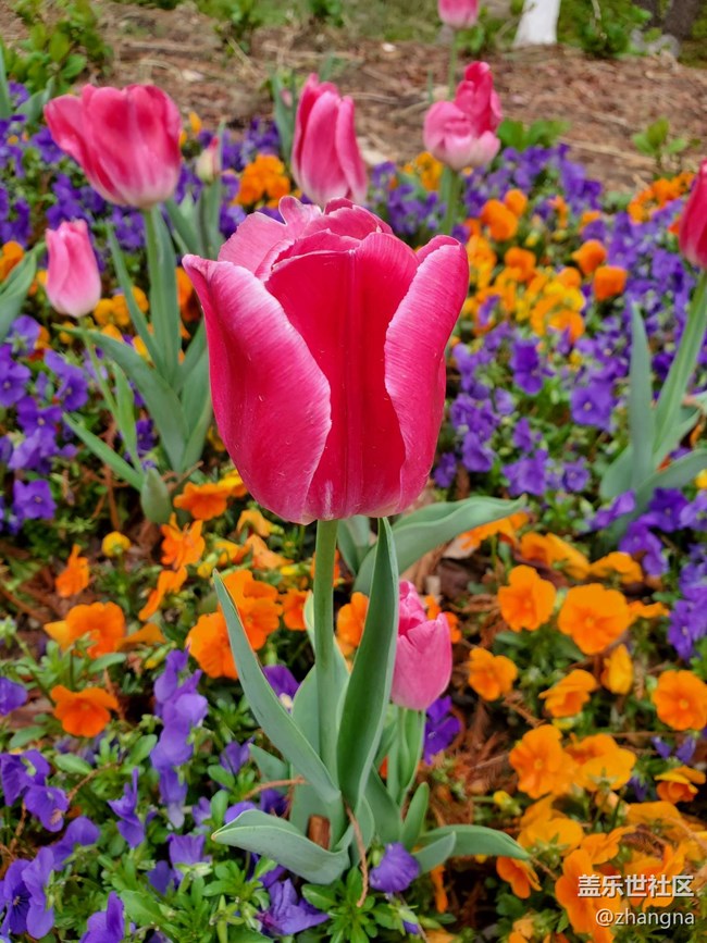 【閔行文化公園線下攝影活動】+活動回顧貼