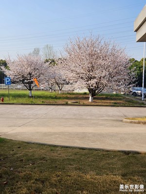 生機(jī)盎然的世界