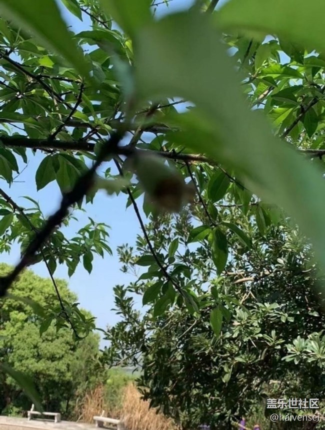【春日踏青季】摘野菜