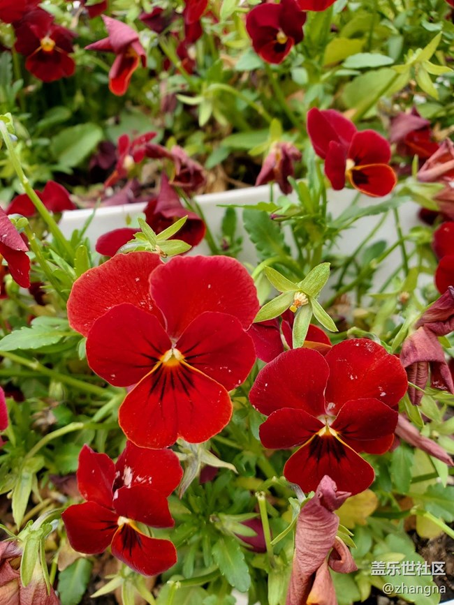 【閔行文化公園線下攝影活動】+活動回顧貼