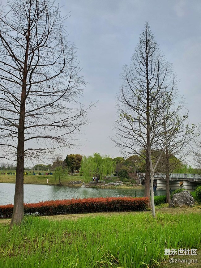 【閔行文化公園線下攝影活動】+活動回顧貼