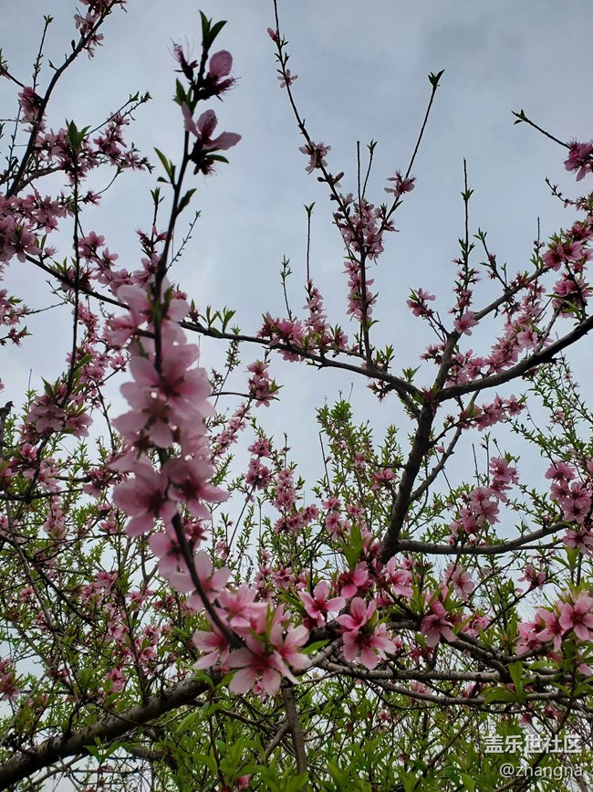 【閔行文化公園線下攝影活動】+活動回顧貼