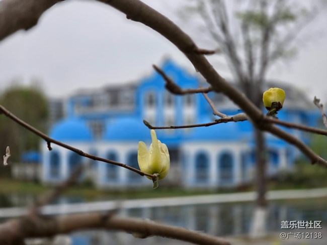 【閔行文化公園線下攝影活動(dòng)】+閔行文化公園線下攝影活動(dòng)回顧