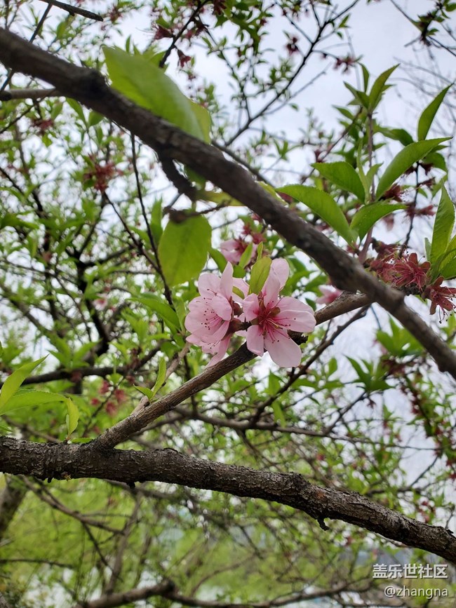 【閔行文化公園線下攝影活動】+活動回顧貼