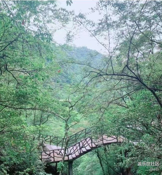 【春日踏青季】郊游