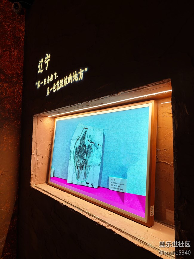 遼寧數(shù)享科技展……回顧