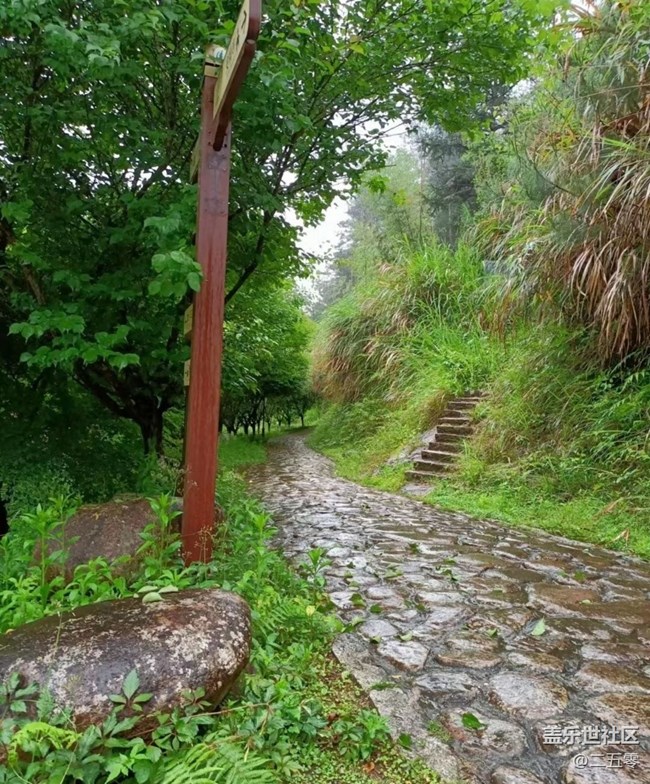 【春日踏青季】春雨