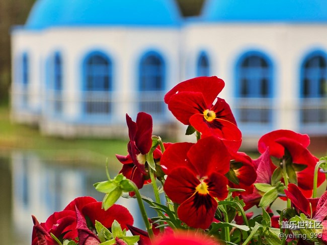 上海星部落3月29日閔行文化公園線下攝影活動(dòng)回顧帖