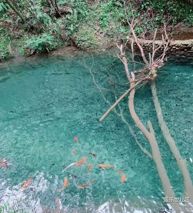 【春日踏青季】郊游