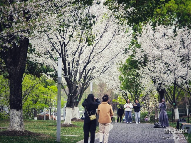 上海星部落3月29日閔行文化公園線下攝影活動(dòng)回顧帖
