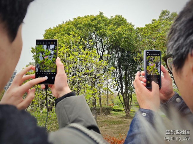 上海星部落3月29日閔行文化公園線下攝影活動(dòng)回顧帖
