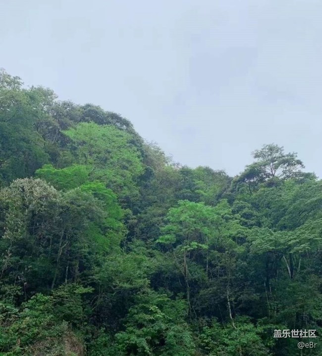 【春日踏青季】郊游