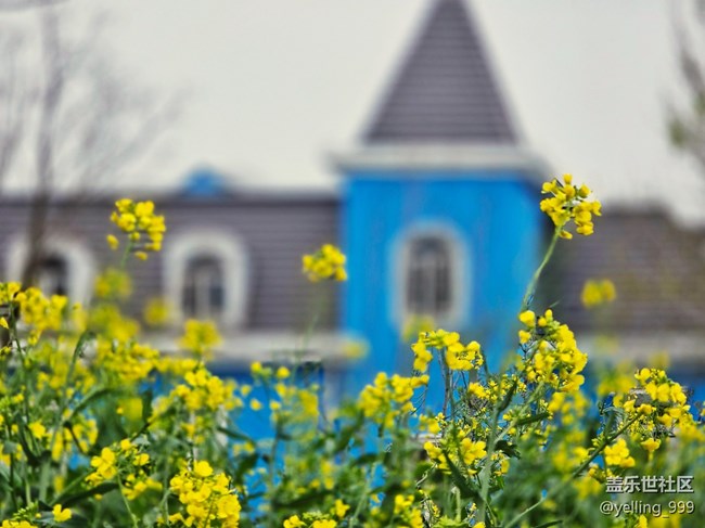 上海星部落3月29日閔行文化公園線下攝影活動(dòng)回顧帖