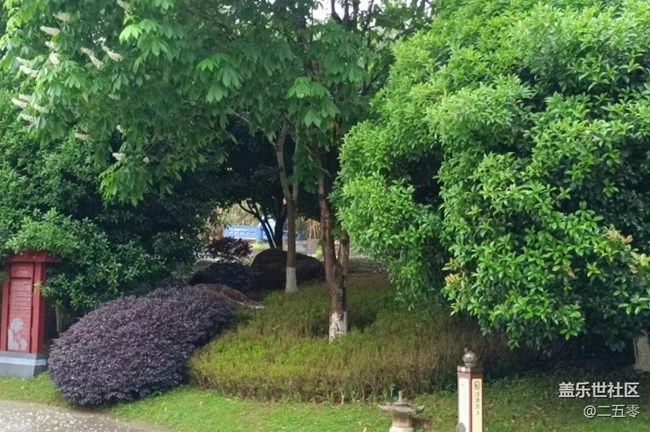 【春日踏青季】春雨